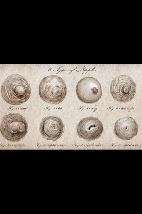 nice nipples|There Are 8 Types of Nipples in the World